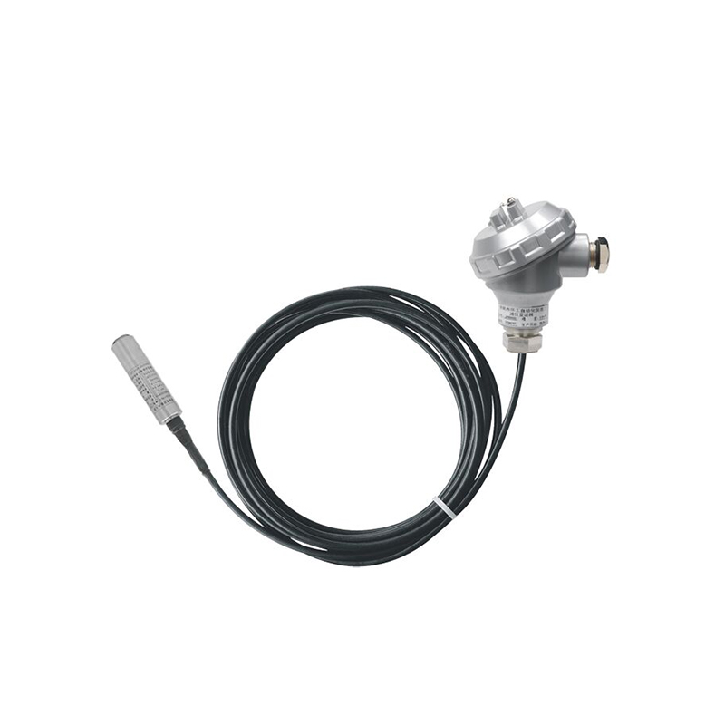 Tauchfähiger Füllstandstransmitter PB8600