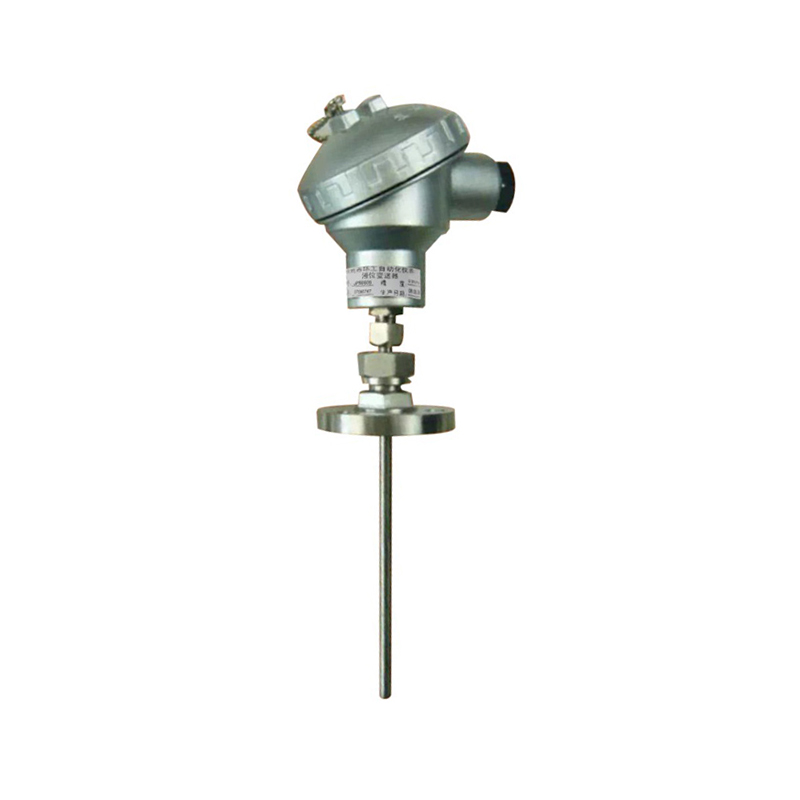 Beweglicher Flanschmontagetyp